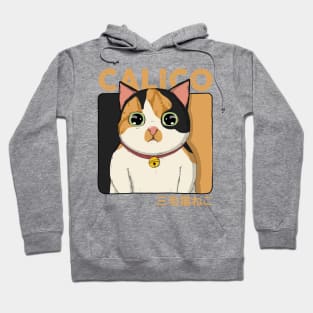 Calico Cat Hoodie